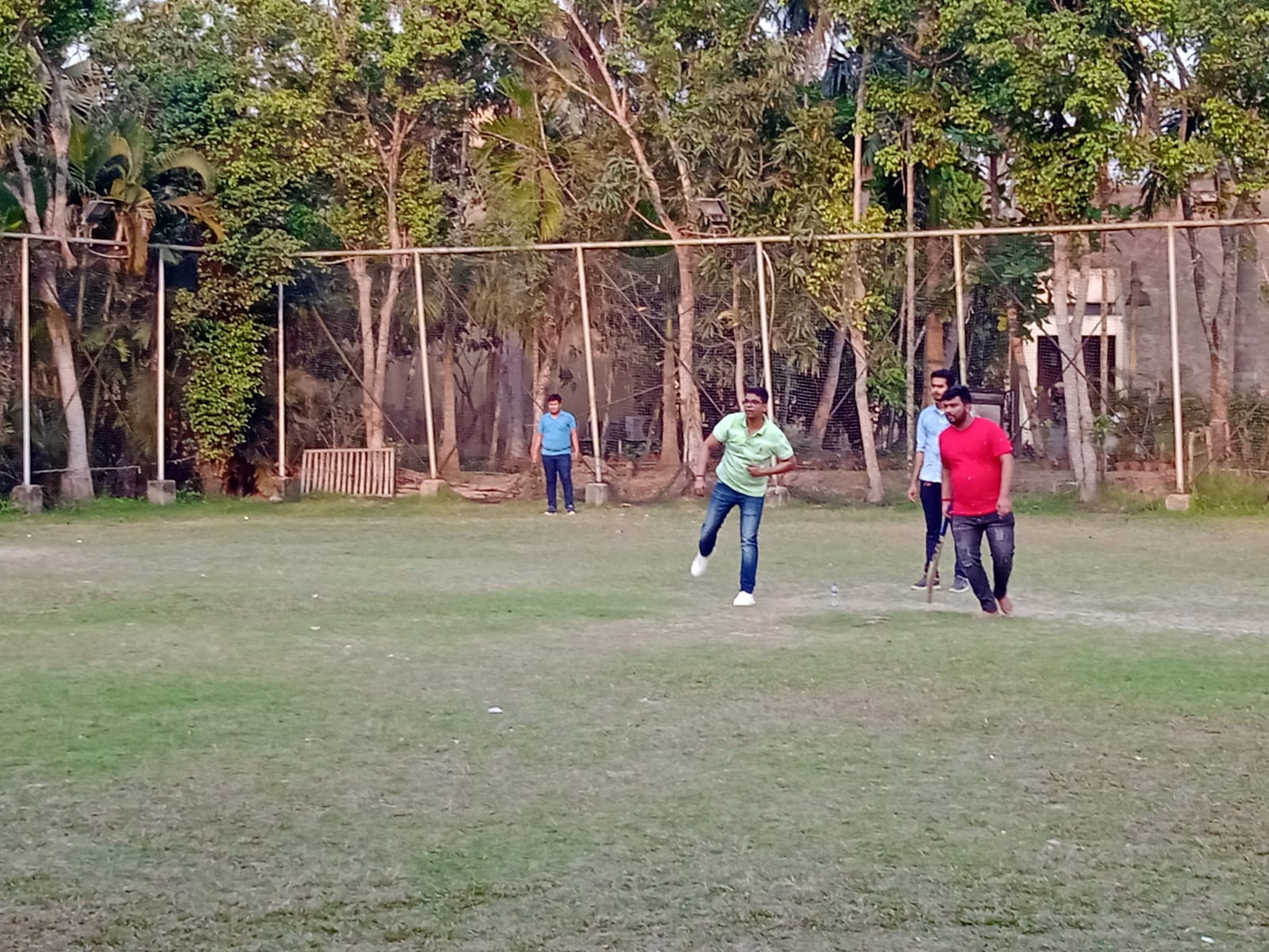 How about some Cricket